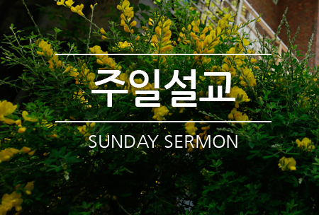 주일설교,Sunday Sermon